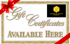 gift certificate with bow
